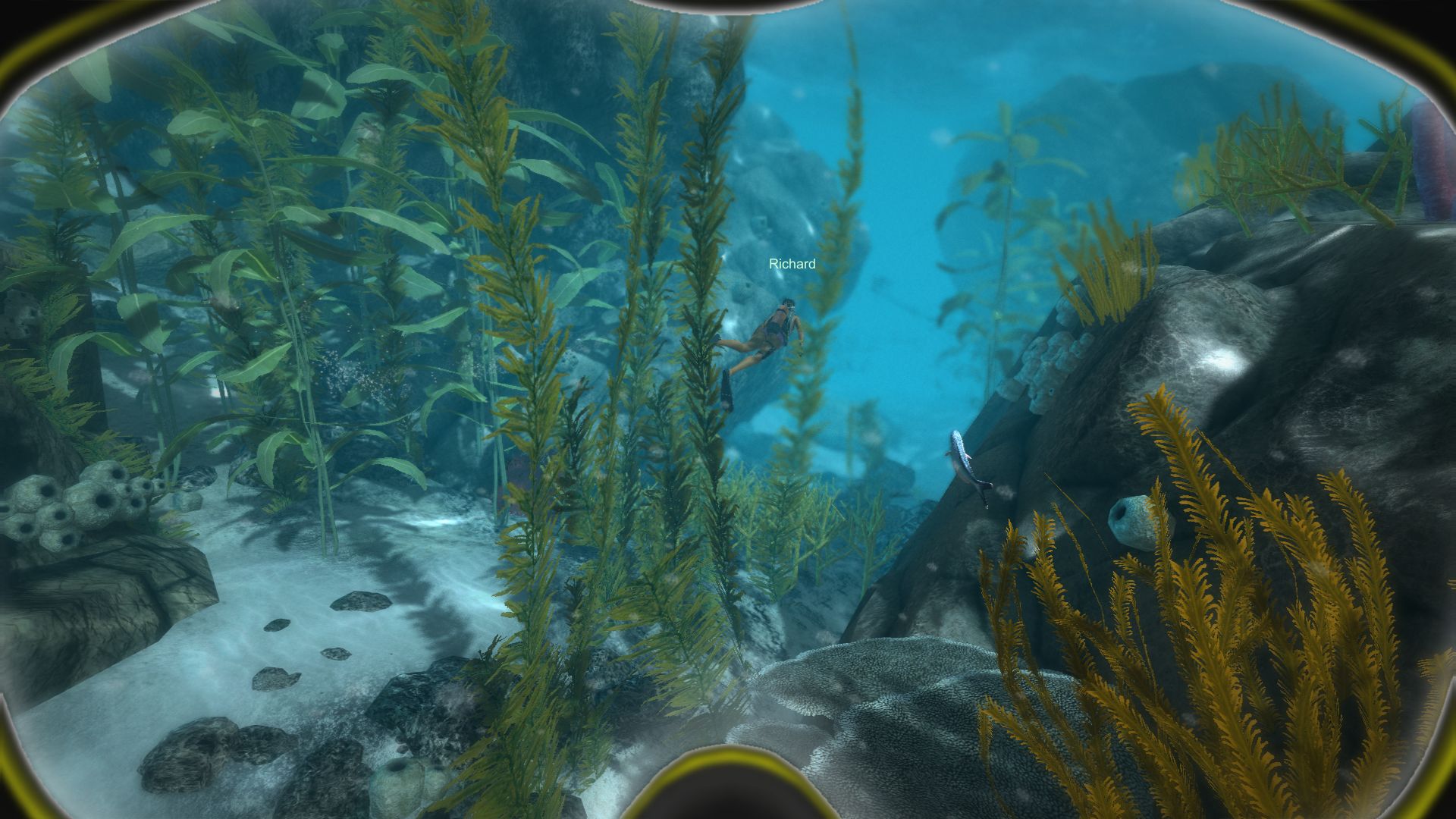 World of Diving screenshot 17