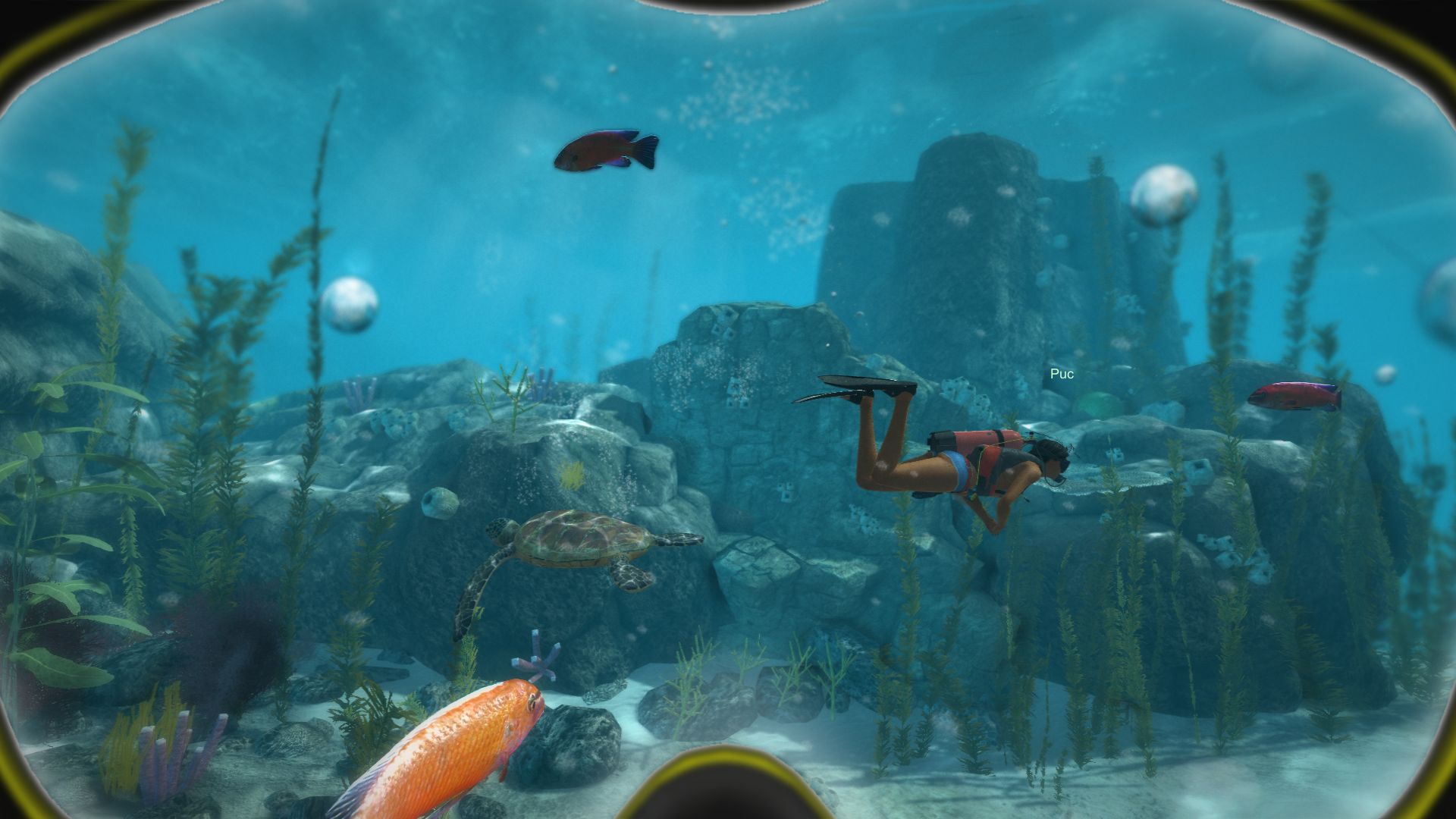World of Diving screenshot 19