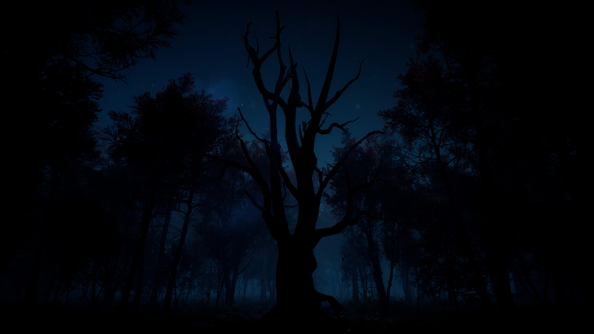 Slender: The Arrival screenshot 8