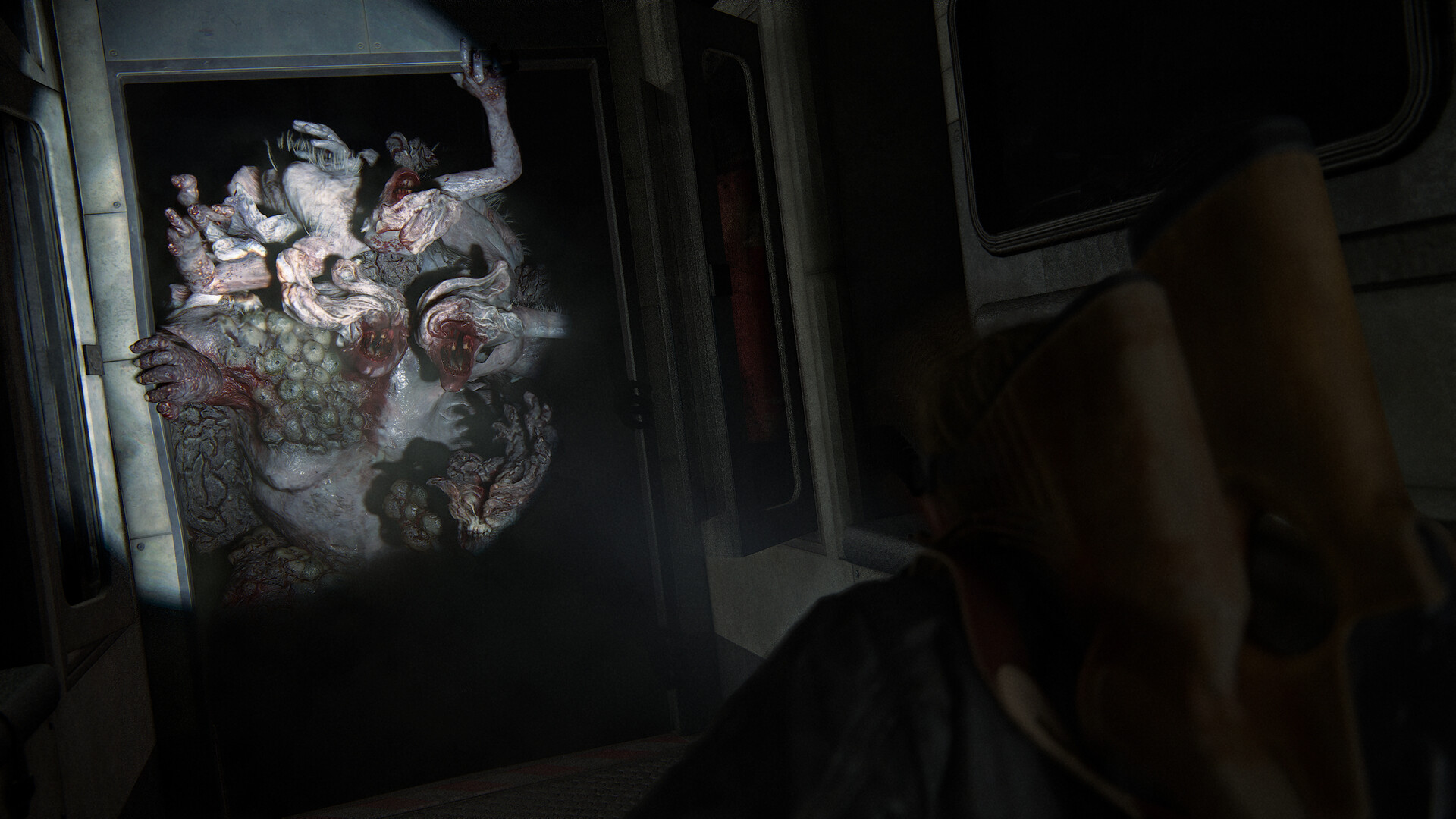 The Last of Us™ Part II Remastered screenshot 9