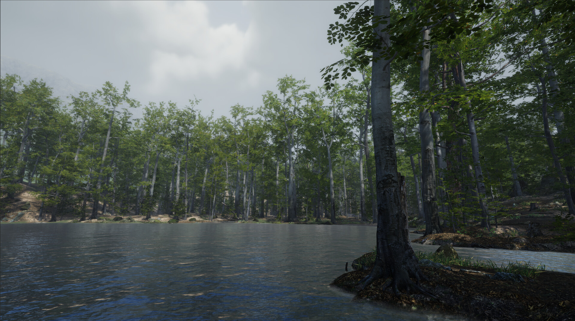 Go Outside screenshot 3