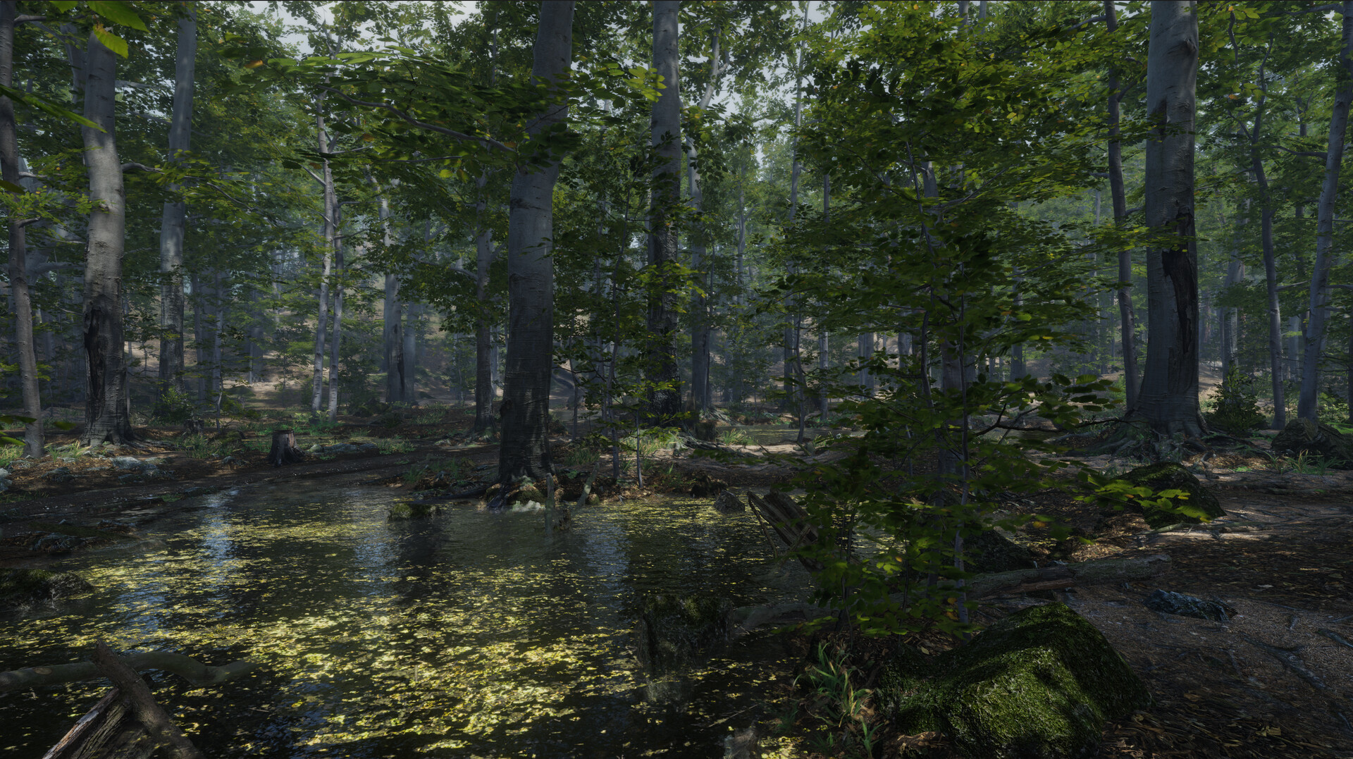 Go Outside screenshot 2