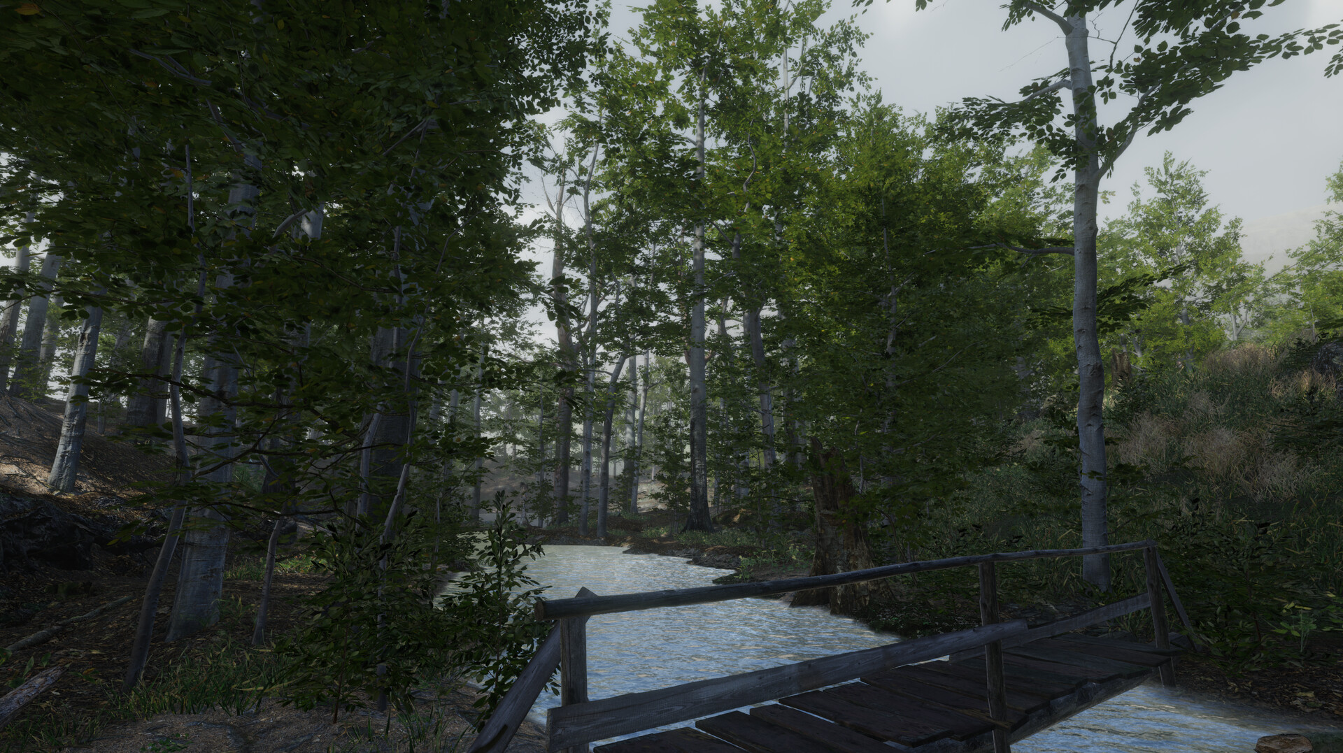 Go Outside screenshot 6