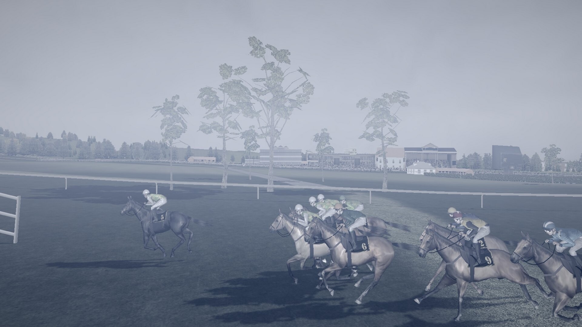 Starters Orders 8 Horse Racing screenshot 14