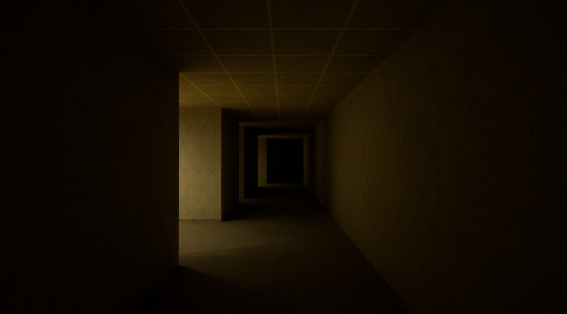 The Backrooms Deluxe screenshot 5