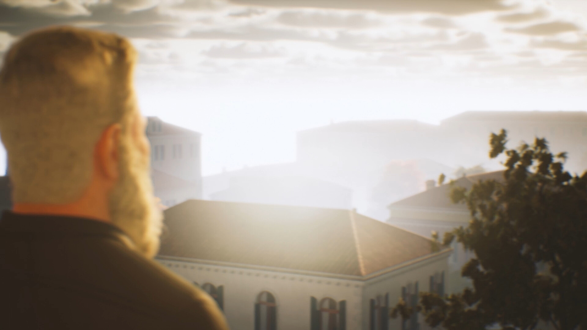 Pedro of Brazil screenshot 3