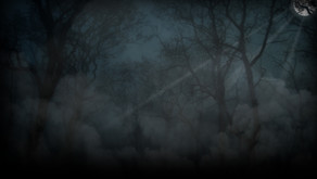 Horror in the Asylum Official Trailer trailer thumbnail