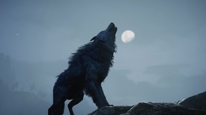 101 trailer trailer thumbnail