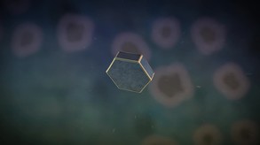 Story Trailer trailer thumbnail