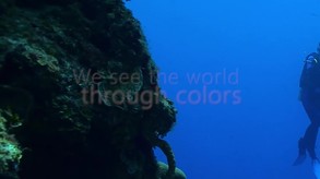 ColorDirector 4 Introduction ENU trailer thumbnail