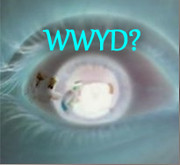 What Would You Do? trailer thumbnail