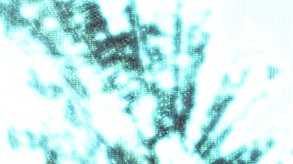 OP trailer thumbnail