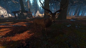 Trailer 1.4 trailer thumbnail