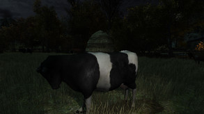The Cows Are Watching Trailer trailer thumbnail