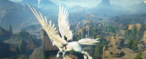 Dark and Light Trailer trailer thumbnail