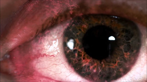 Dark Passenger Trailer trailer thumbnail