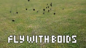 BoidWatch - Short and Sweet trailer thumbnail