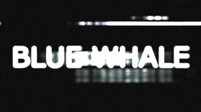 Blue Whale - Release trailer trailer thumbnail