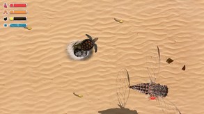 Turtle Quest - Game-Play trailer thumbnail