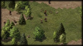 Wild Terra Online - Release Trailer trailer thumbnail