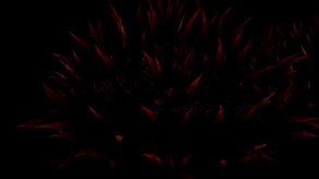 Accolades Trailer-en trailer thumbnail