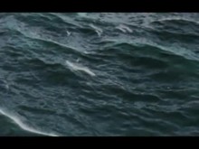 Sea Dogs Caribbean Tales - Intro trailer thumbnail