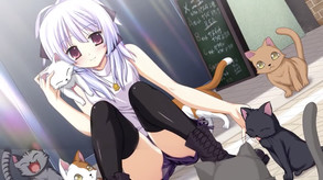 Fortissimo FA OP 1 trailer thumbnail