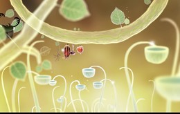 Botanicula Trailer trailer thumbnail