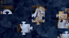 Puzzles for smart - Cats trailer thumbnail