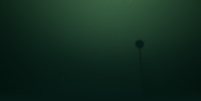Gameplay Trailer - Bitter Tides trailer thumbnail