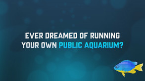 Pre-release Trailer trailer thumbnail