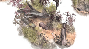 Paperbark Release Trailer trailer thumbnail