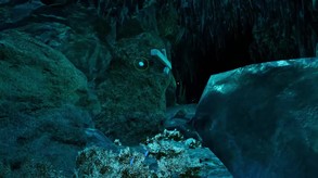 Cenote VR trailer thumbnail