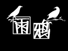 《雨鸦》宣传视频 trailer thumbnail