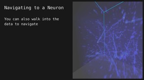 Overview of the VR Neuron Tracer trailer thumbnail