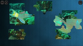 Puzzles for smart Underwater Kingdom trailer thumbnail