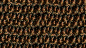 TRAILER OF THE CENTURY trailer thumbnail