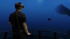 The Blu trailer thumbnail