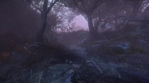 The Cursed Forest gameplay trailer trailer thumbnail