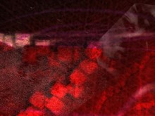 dive2 trailer thumbnail