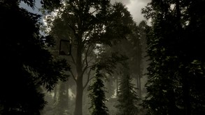The Woods: VR Escape the Room Teaser trailer thumbnail