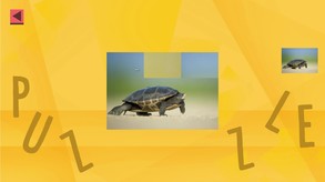 Game Of Puzzles: Animals Trailer trailer thumbnail