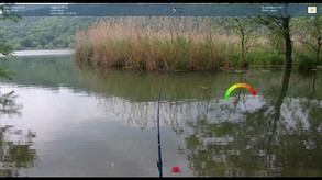 Truefish trailer thumbnail