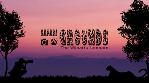 The Safari Grounds trailer trailer thumbnail