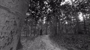 Wardwell House Trailer trailer thumbnail