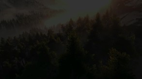 Story Trailer trailer thumbnail