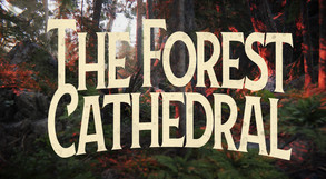 The Forest Cathedral - Trailer trailer thumbnail