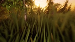 The Podlands - Pre-Alpha Gameplay trailer thumbnail