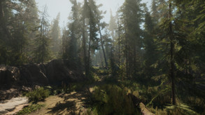 A Walk in the Woods - Official Trailer trailer thumbnail