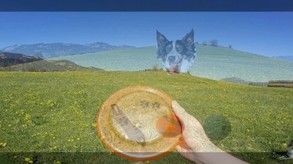 BorderCollieGame Trailer trailer thumbnail